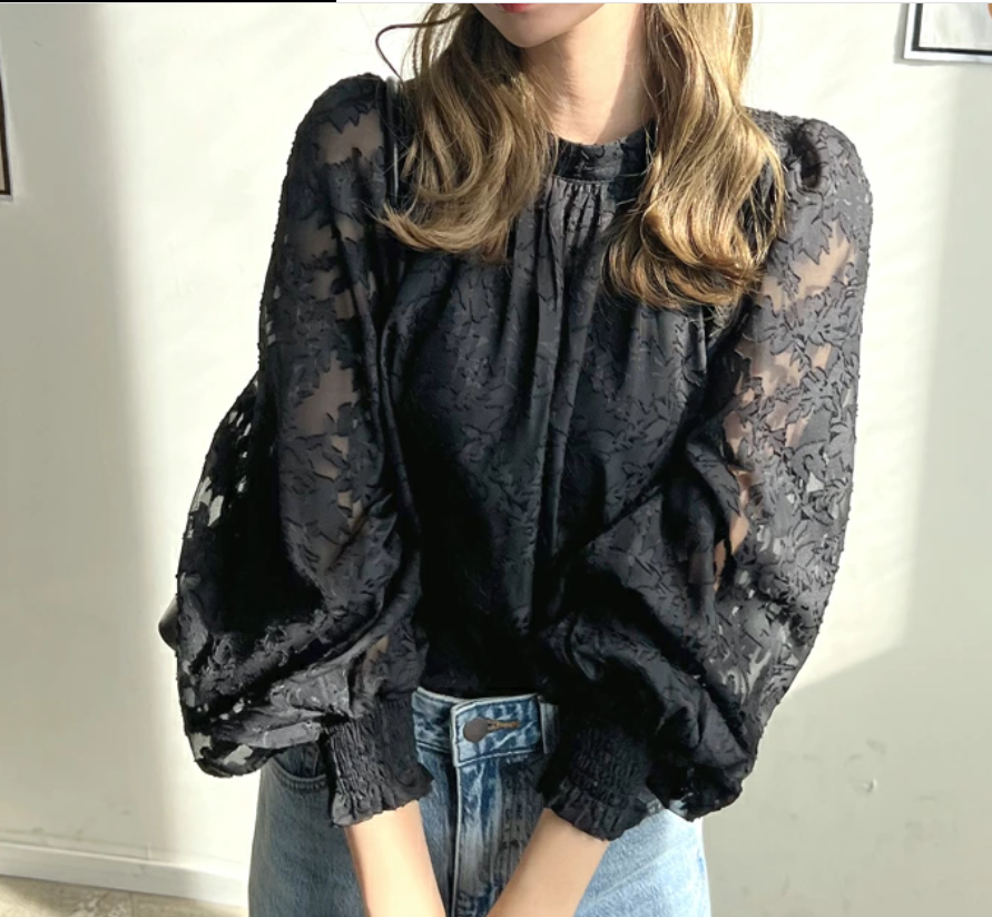 Women’s Long Sleeve Lace Chiffon Top Autumn Pullover Blouse